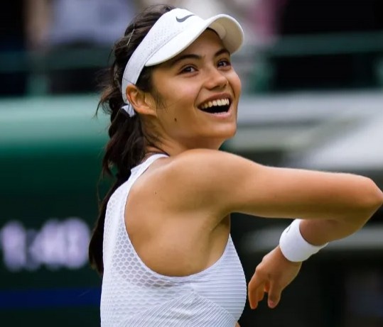 的章节制流